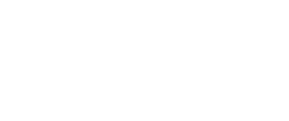 Logo Gehin Guy - blanc